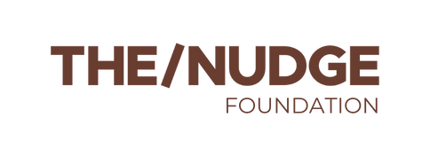 The/Nudge